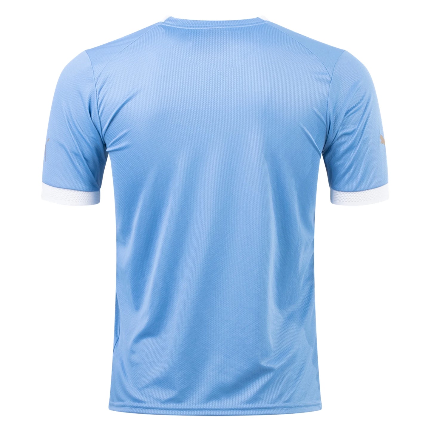 Uruguay Home Soccer Jersey 2022/23